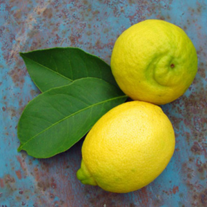 Return of the Greek Lemons